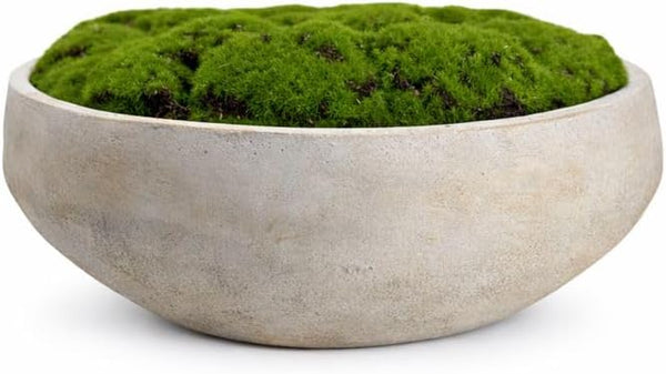 Hand-Painted Cement Moss Bowl – 12 inch Decorative Centrepiece