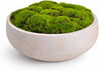 Hand Painted Cement Moss Bowl | 12 Inch | Artificial Moss Centerpiece | Decorative Coffee Table Bowl