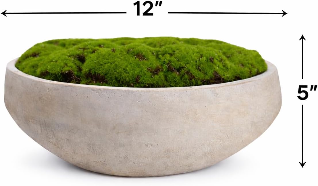 Hand Painted Cement Moss Bowl | 12 Inch | Artificial Moss Centerpiece | Decorative Coffee Table Bowl